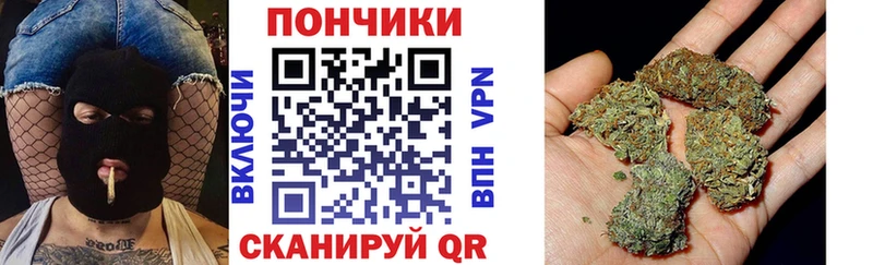 блэк спрут зеркало  даркнет сайт  Спасск  Бошки марихуана сатива 